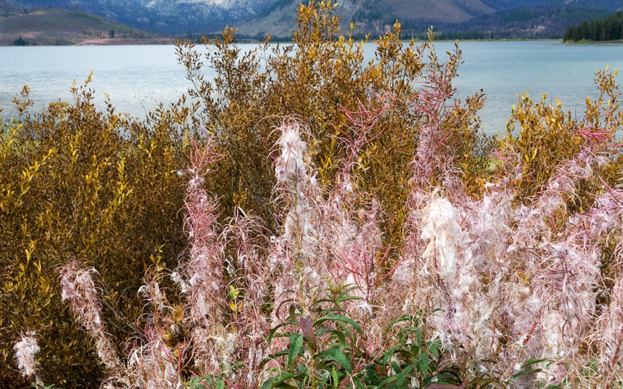 D71_3945.jpg D71 3945