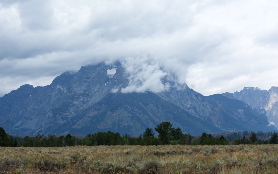 D71_3973.jpg D71 3973