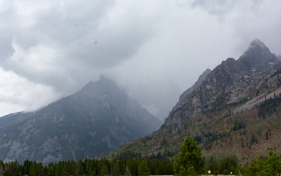 D71_3982.jpg D71 3982