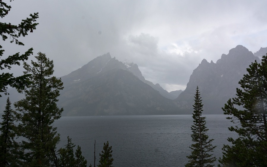 D71_3987.jpg D71 3987