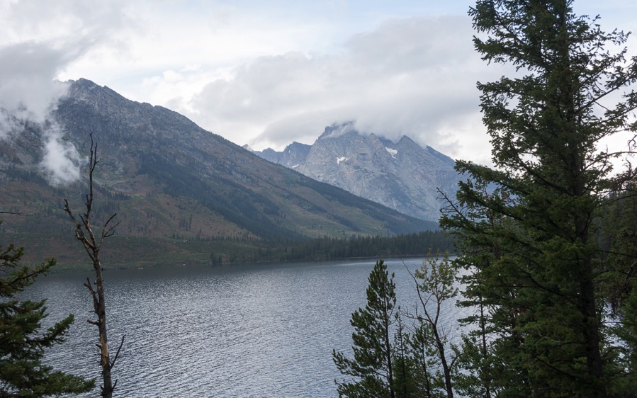 D71_4018.jpg D71 4018