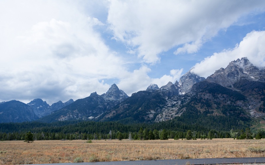 D71_4060.jpg D71 4060