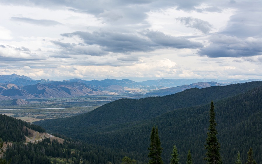 D71_4069.jpg D71 4069