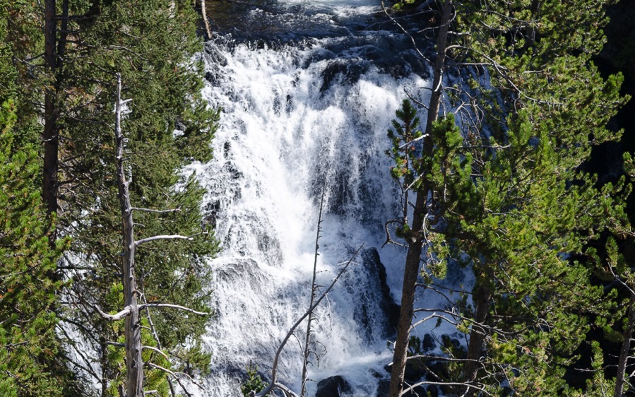 DSC_5487.jpg DSC 5487