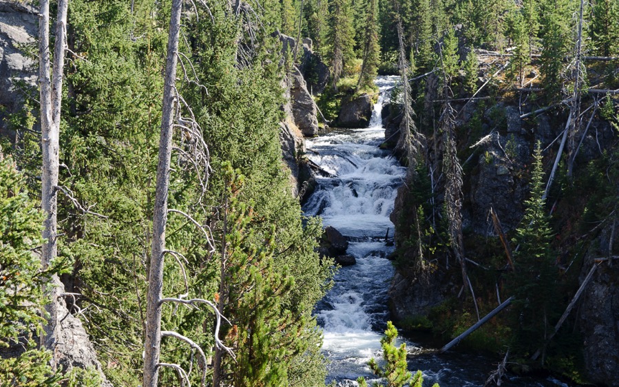 DSC_5499.jpg DSC 5499