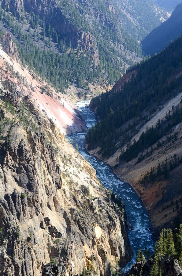 DSC_5536.jpg DSC 5536