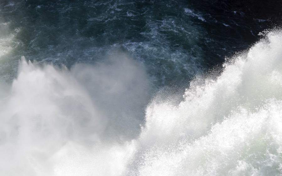 DSC_5550.jpg DSC 5550