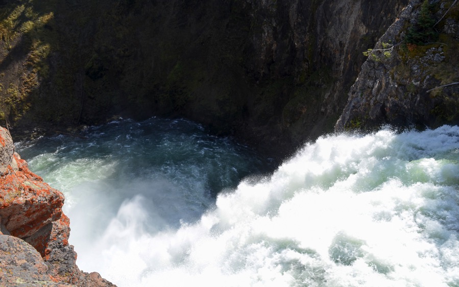 DSC_5556.jpg DSC 5556