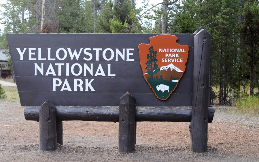 DSC_5578.jpg DSC 5578