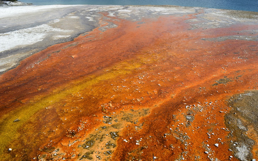 DSC_5666.jpg DSC 5666