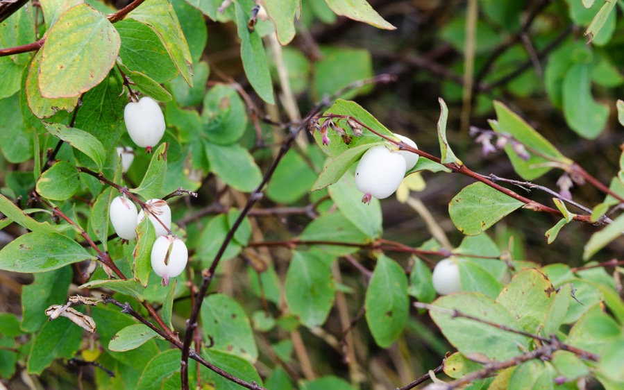 DSC_5777.jpg DSC 5777