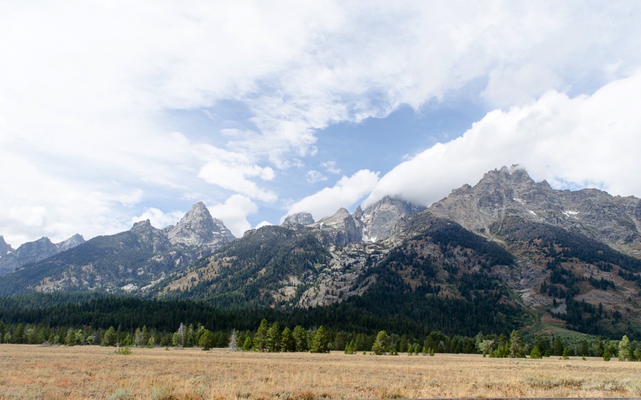 DSC_5807.jpg DSC 5807