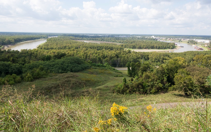 D71_5155.jpg D71 5155