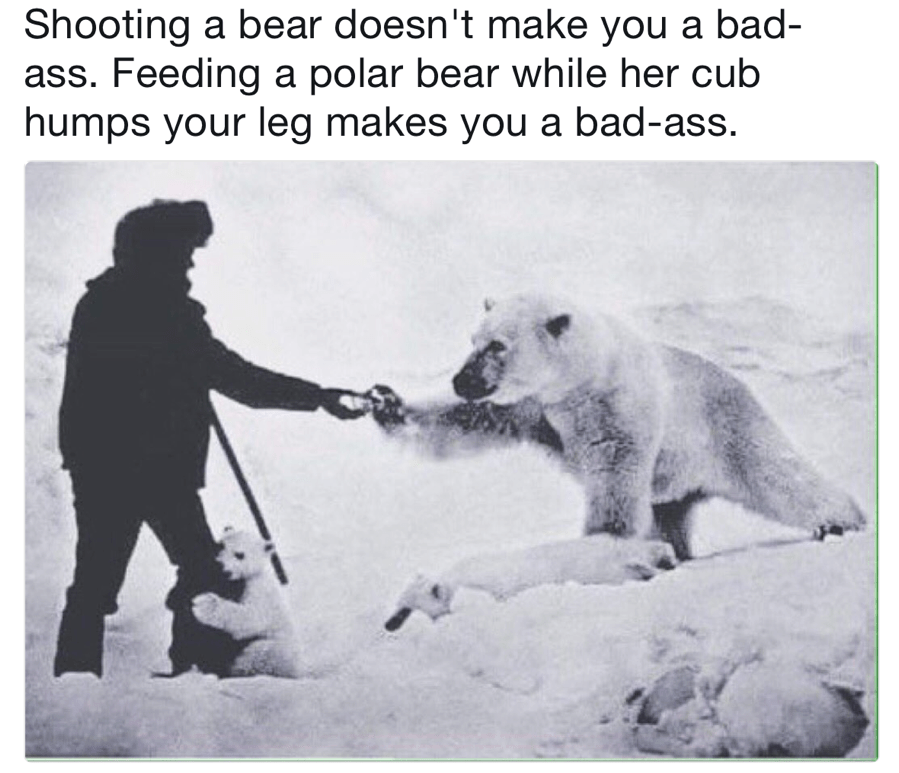 PolarBearBadAss