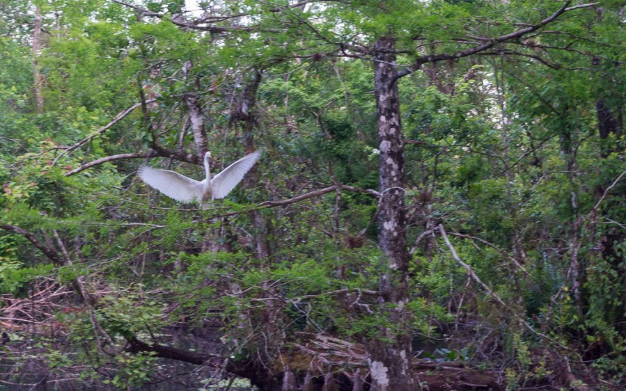 D71_5220.jpg D71 5220