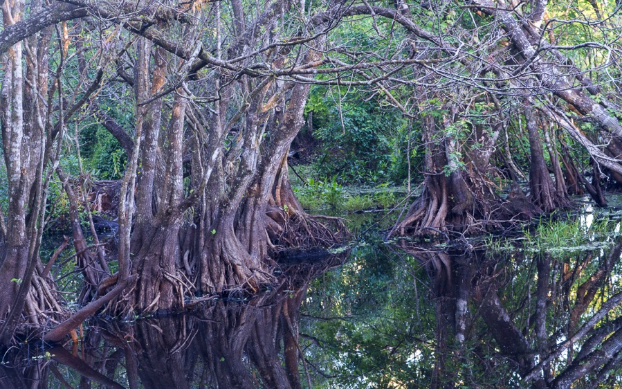 D71_5284.jpg D71 5284