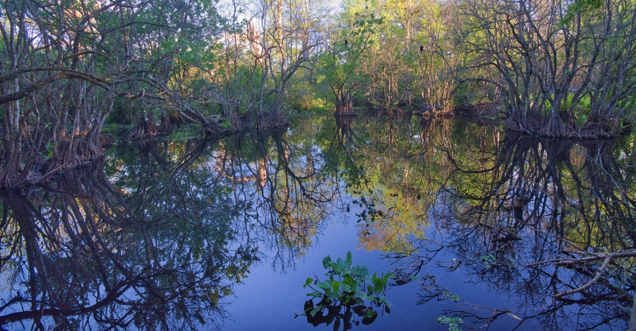 D71_5298_Luminar2018-edit.jpg D71 5298 Luminar2018 edit