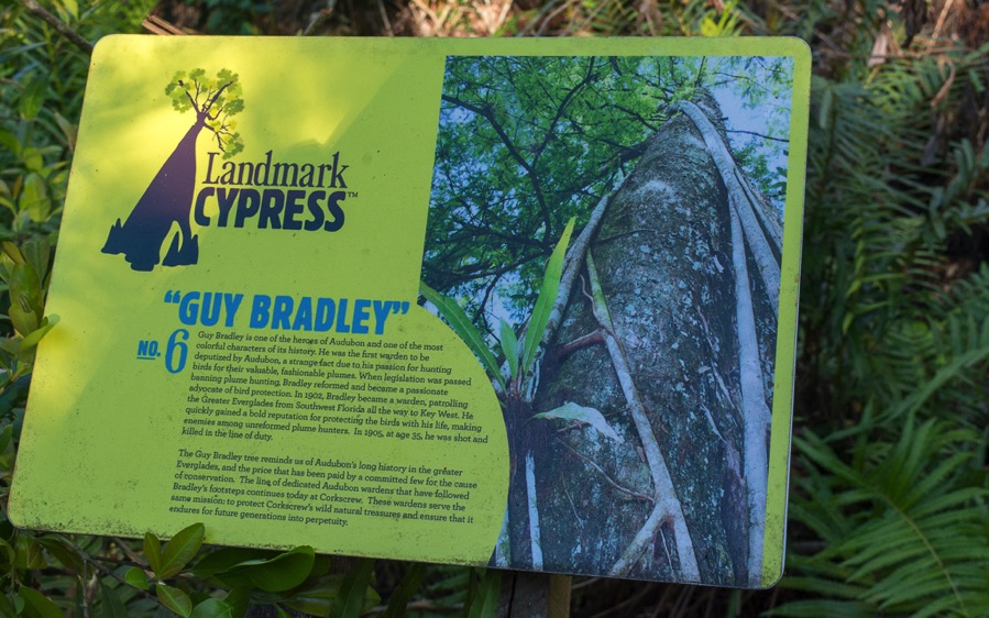 D71_5314.jpg D71 5314