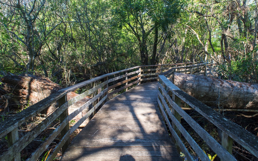 D71_5334.jpg D71 5334