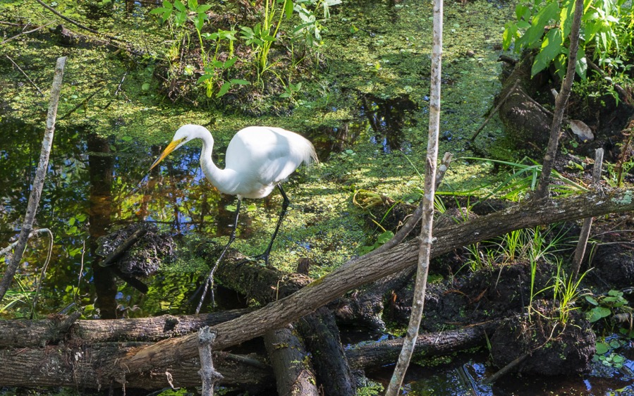 D71_5359.jpg D71 5359