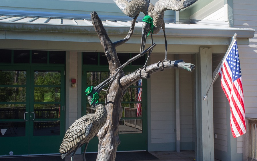 D71_5381.jpg D71 5381