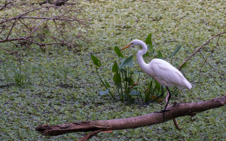 D75_0637.jpg D75 0637