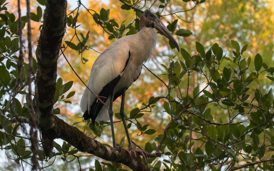 D75_0662.jpg D75 0662