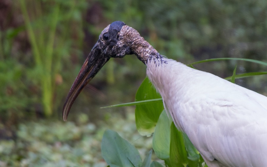 D75_0683.jpg D75 0683