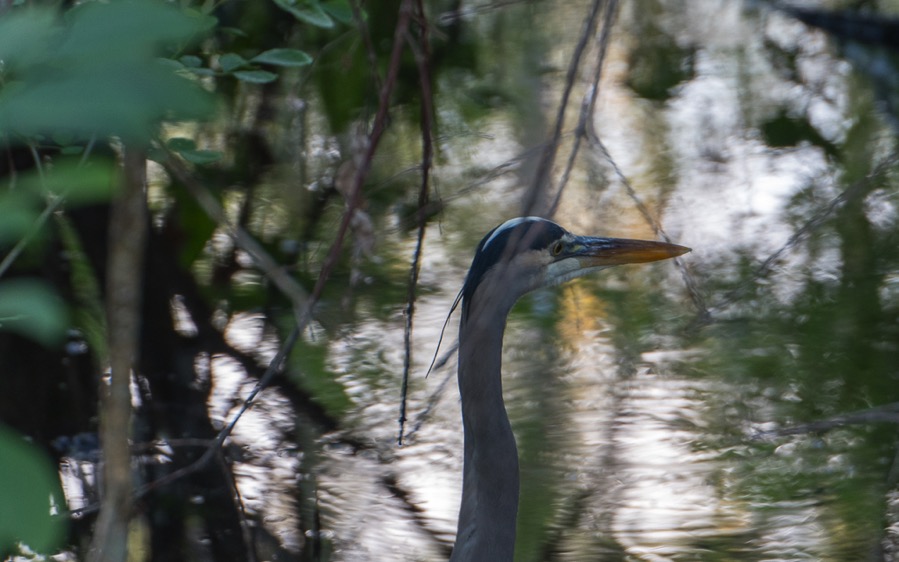 D75_0701.jpg D75 0701