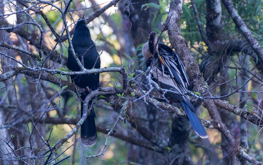 D75_0735.jpg D75 0735