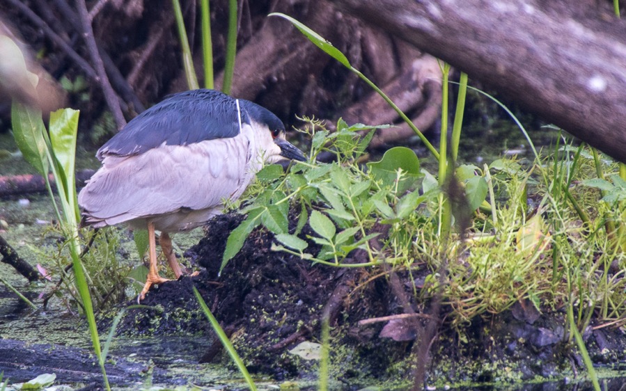 D75_0763.jpg D75 0763