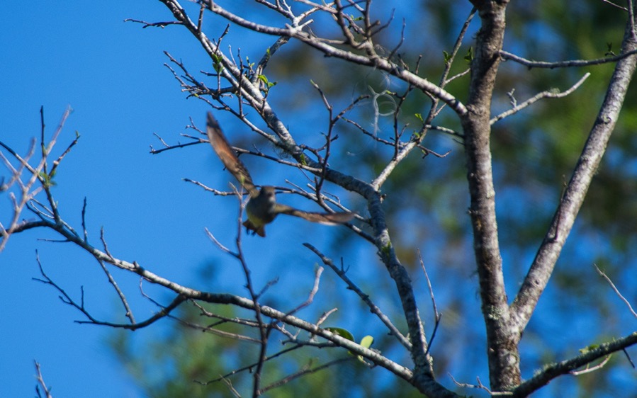 D75_0800.jpg D75 0800