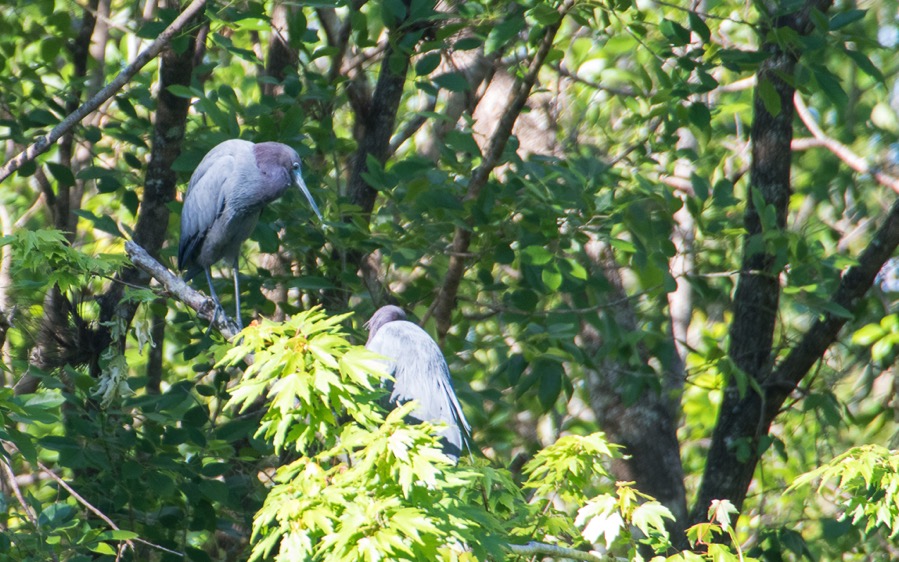 D75_0855.jpg D75 0855