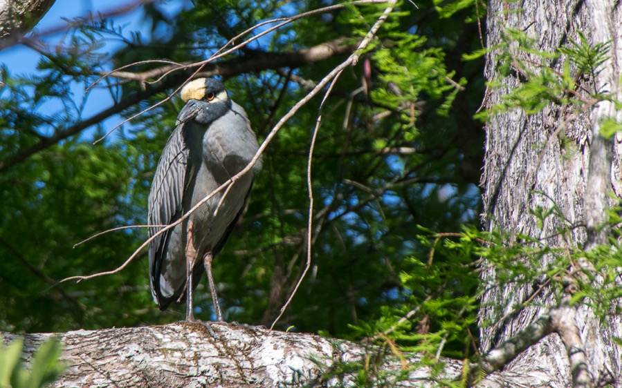 D75_0870.jpg D75 0870