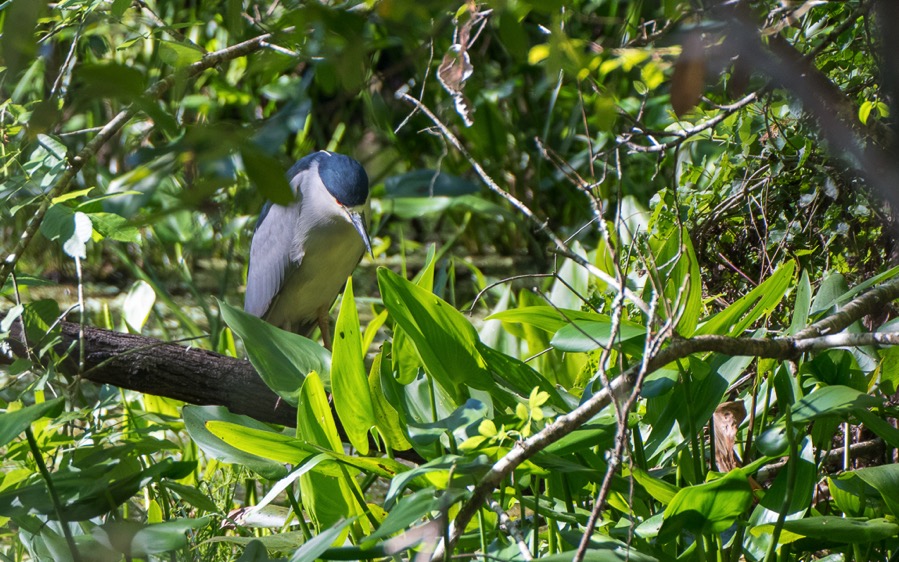 D75_0893.jpg D75 0893