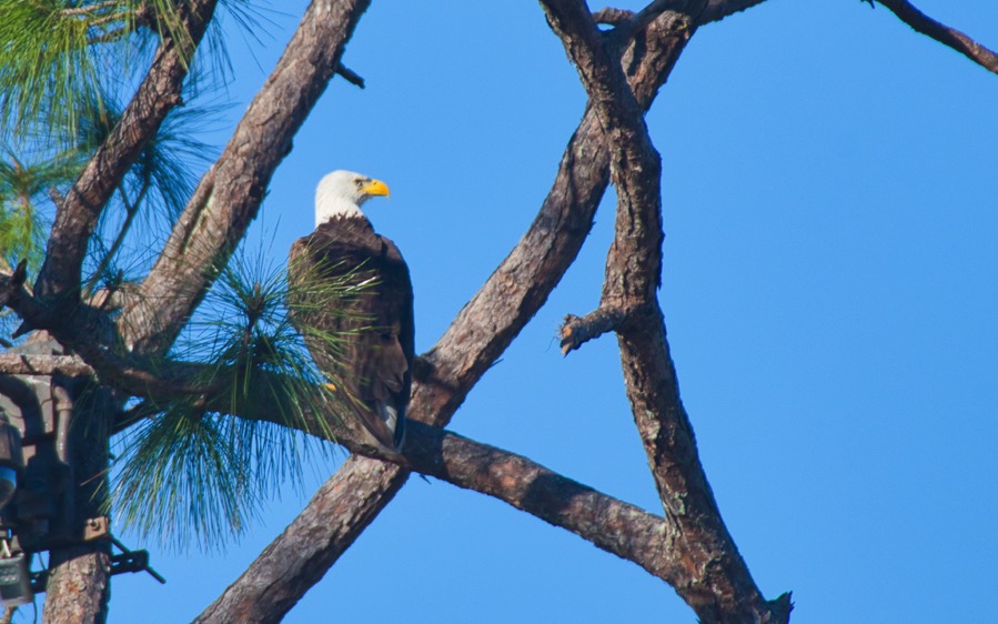 DSC 0582 Luminar2018 edit