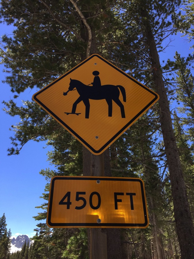 BongSmokingSkateboardHorses