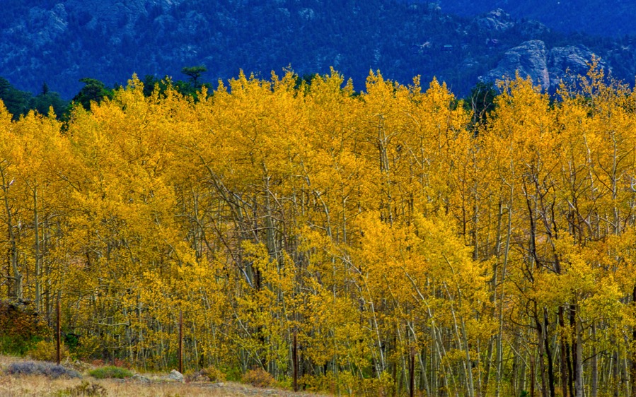 D71 4169 Luminar2018 edit