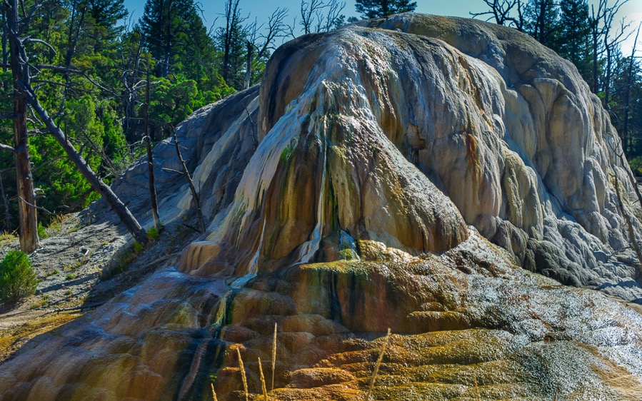 DSC 5311 Luminar2018 edit