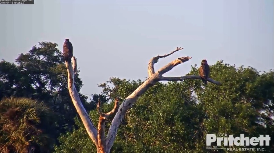 Screen Shot 2018 04 16 at 7 28 58 PM