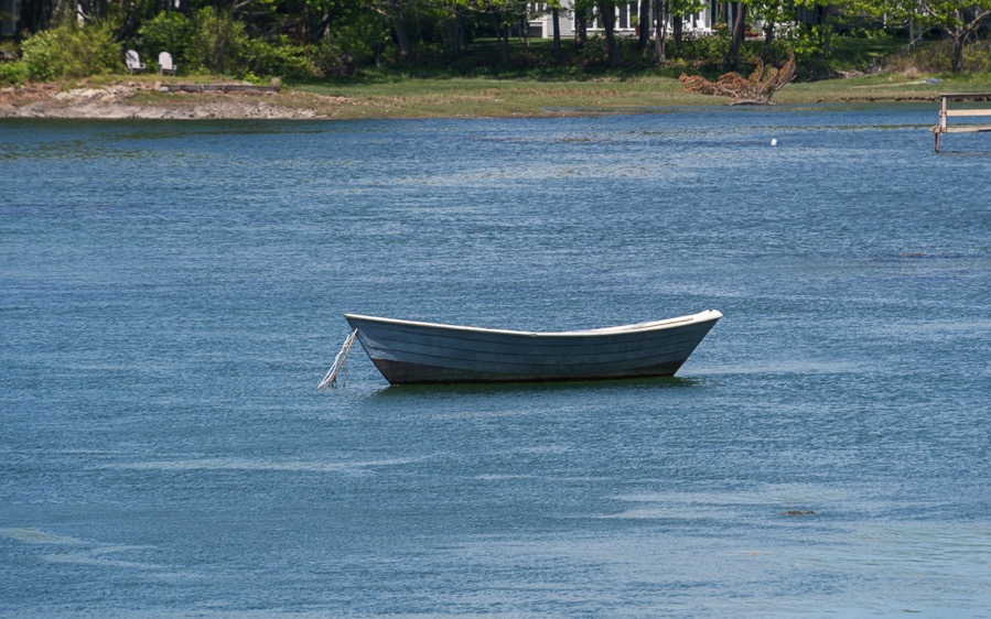 D75_1675.jpg D75 1675