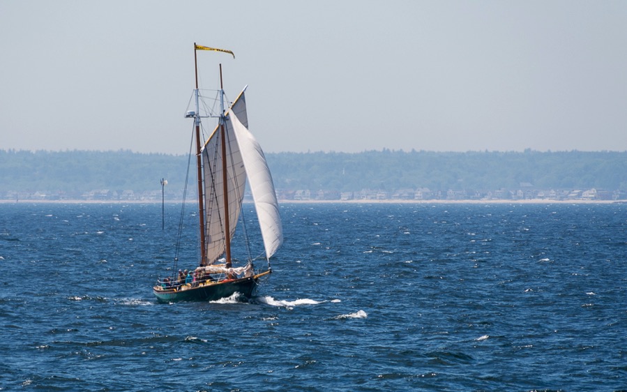 D75_1679.jpg D75 1679