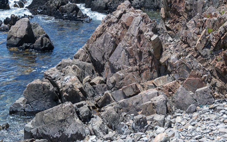 D75_1700.jpg D75 1700