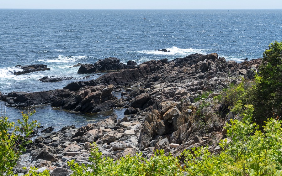 D75_1706.jpg D75 1706