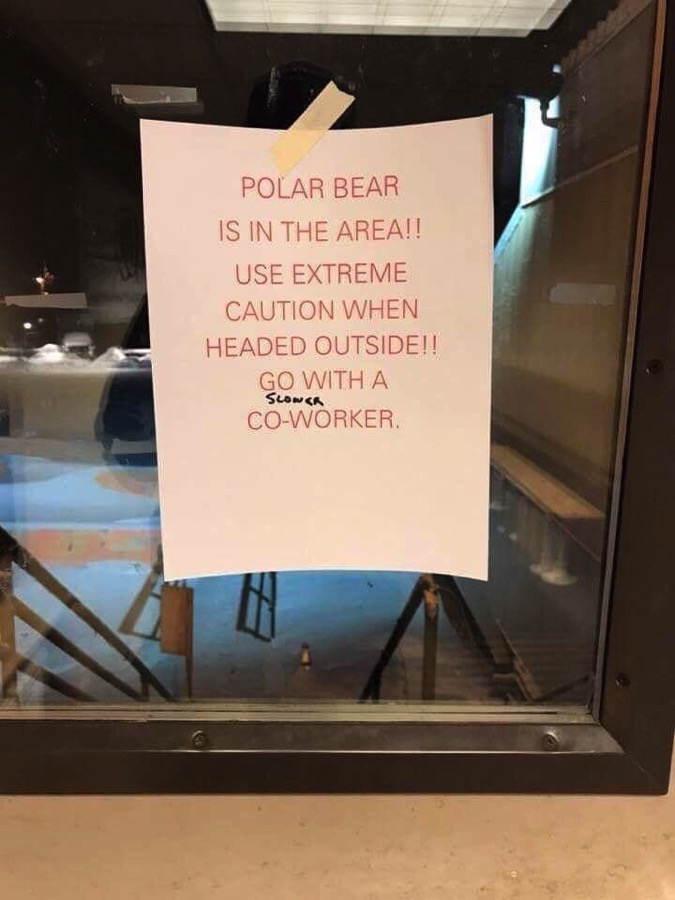 BearWarning