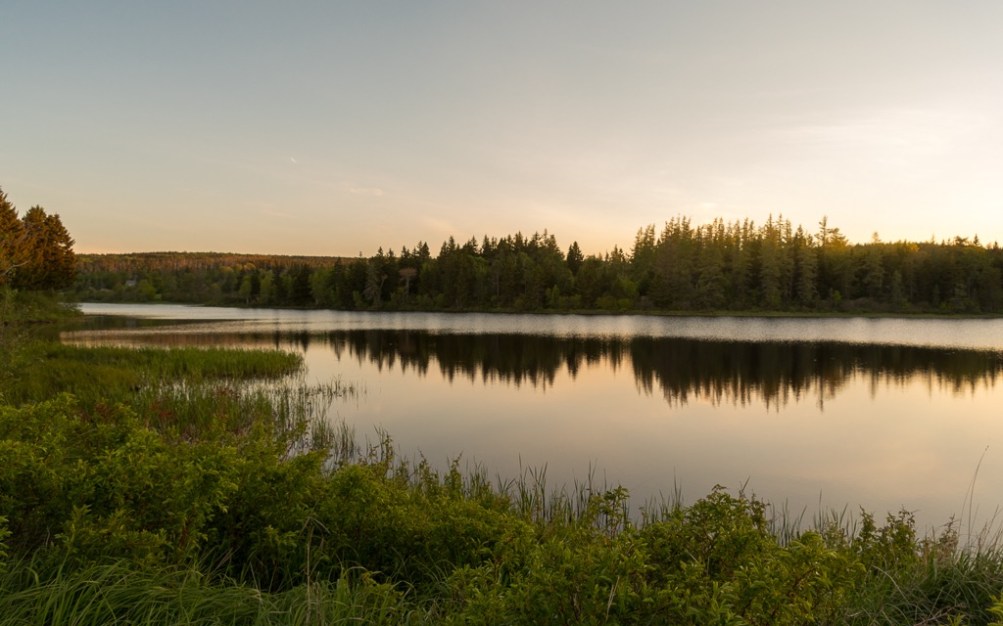 D75 1906 Luminar2018 edit