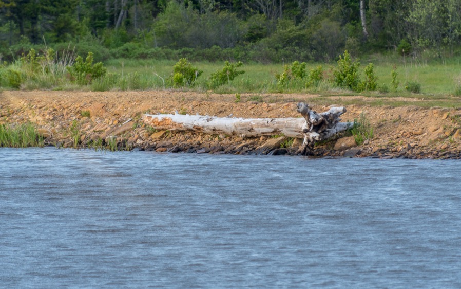 D75 2015 Luminar2018 edit