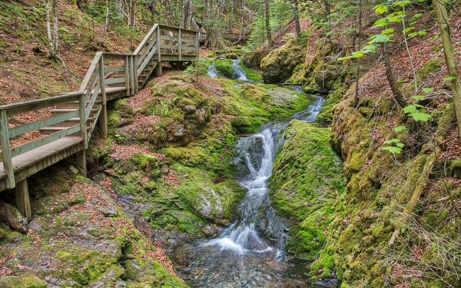 D75 2061 AuroraHDR2018 edit