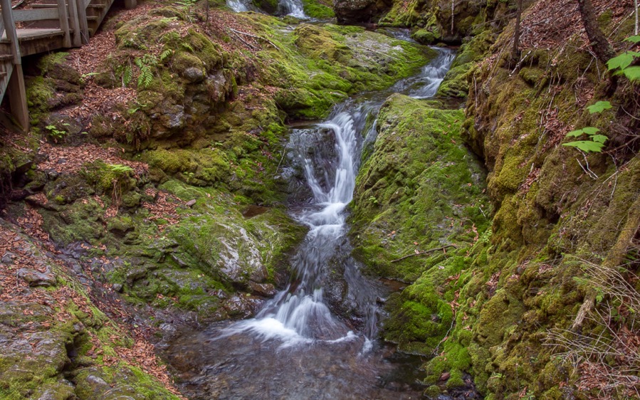 D75 2067 Luminar2018 edit