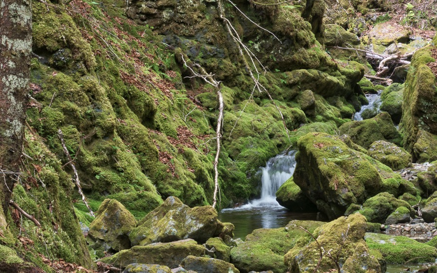 D75 2081 AuroraHDR2018 edit